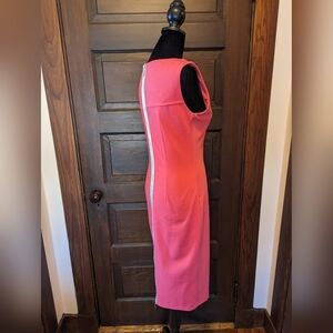 Fitted zipper back knee length dress